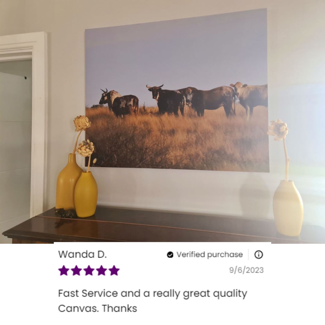3 x A0 Super Big Canvas (80.9x102,5cm) Classic Canvas NetCanvas