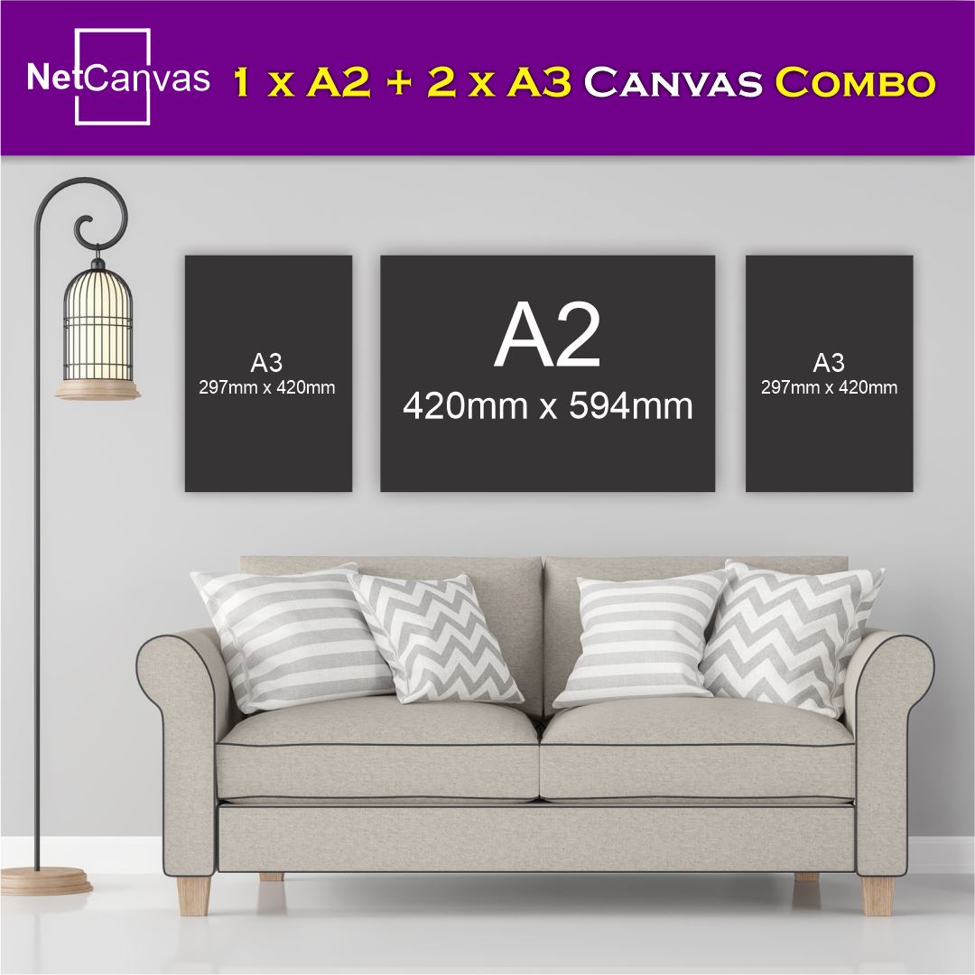 Copy of 1 x A2 (Large Feature) Plus 2 x A3 Classic Canvas NetCanvas