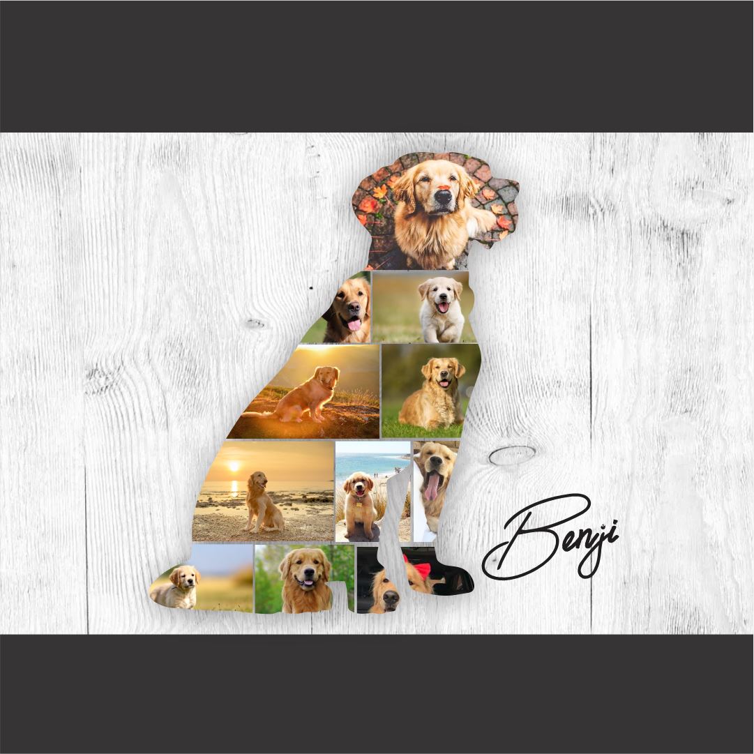 Doggy Collage Classic Canvas NetCanvas