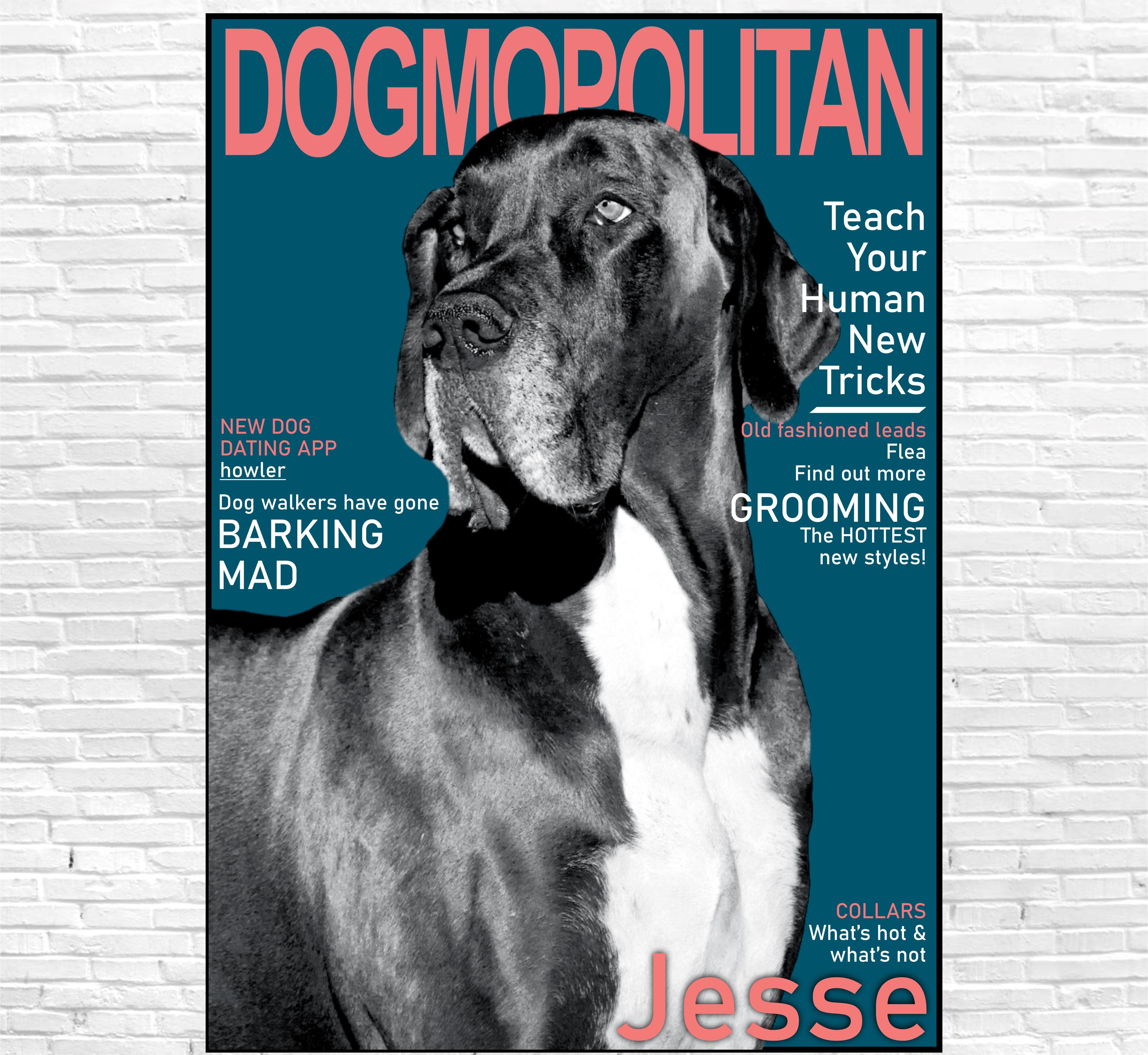 Dogmopolitan Canvas Classic Canvas NetCanvas