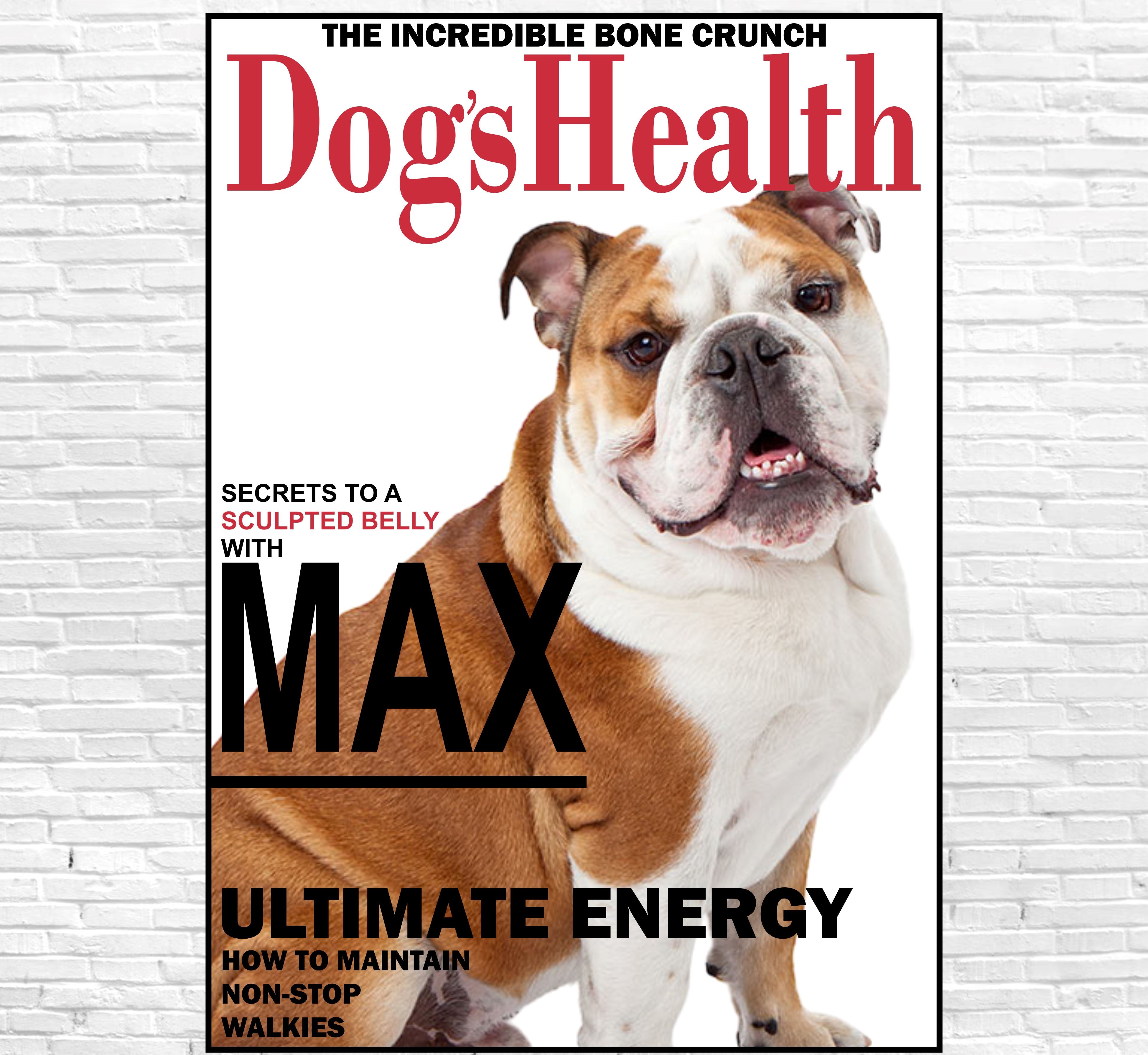 Dog's Health Canvas Classic Canvas NetCanvas