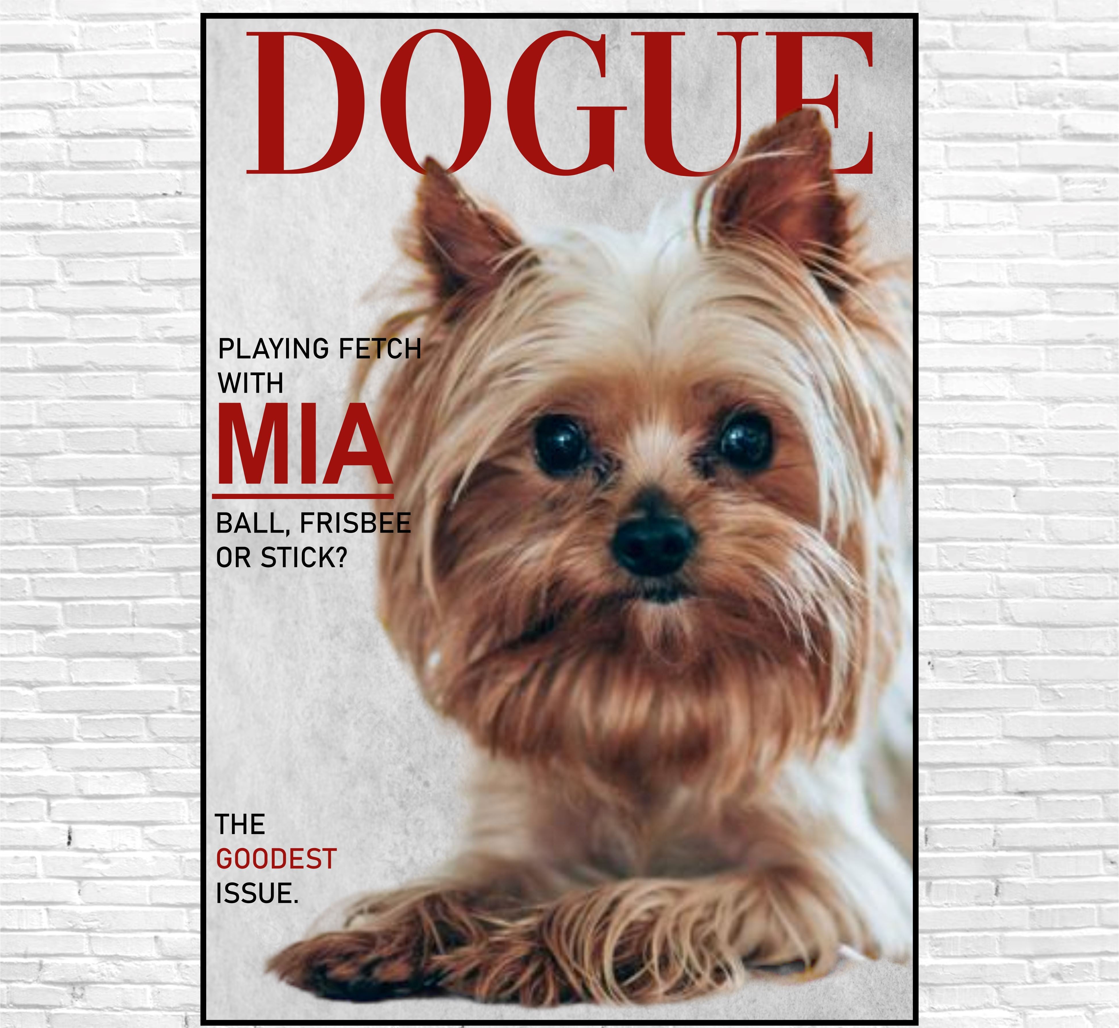 Dogue Canvas Classic Canvas NetCanvas