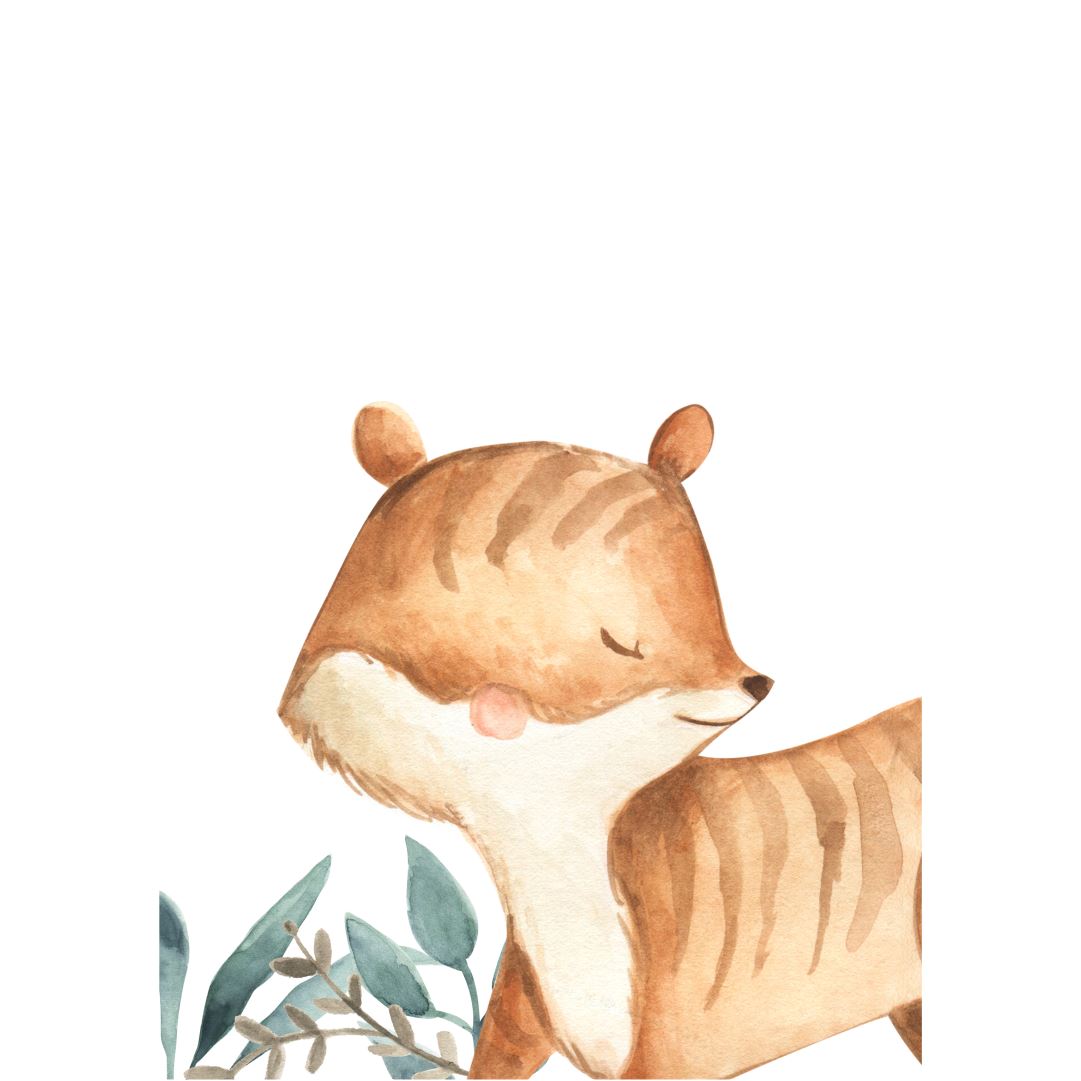Friendly Fox A (Set of 2) Classic Canvas NetCanvas