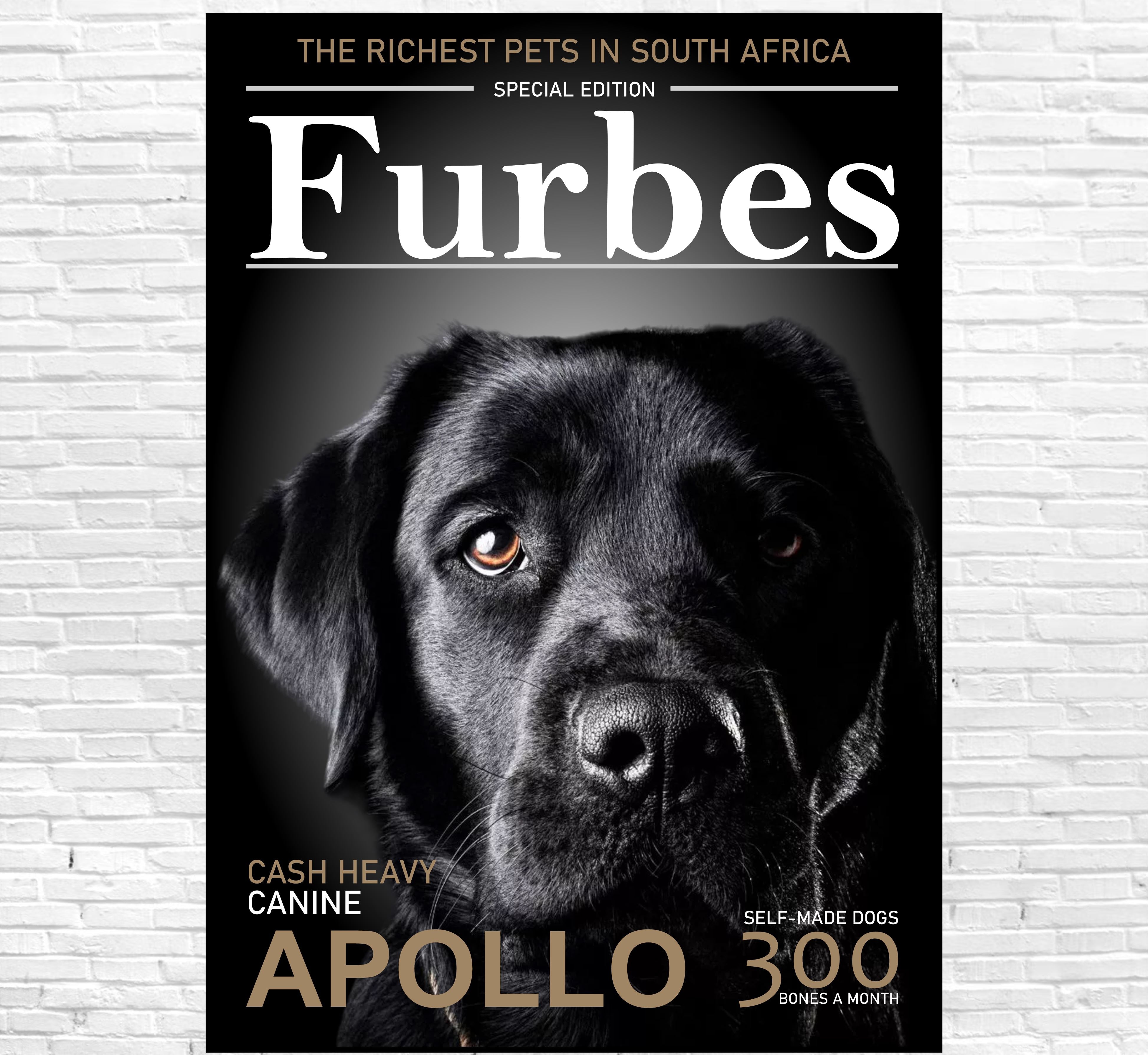 Furbes Canvas Classic Canvas NetCanvas