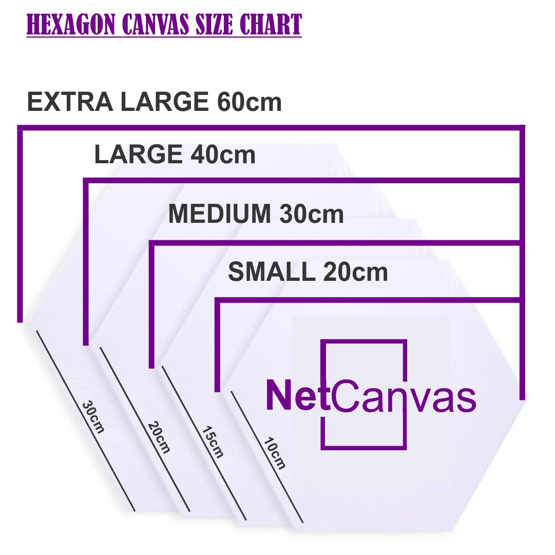 Hexagon Split Canvas 7 Piece Classic Canvas NetCanvas