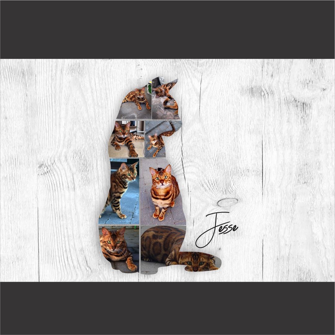 Kitty Collage Classic Canvas NetCanvas