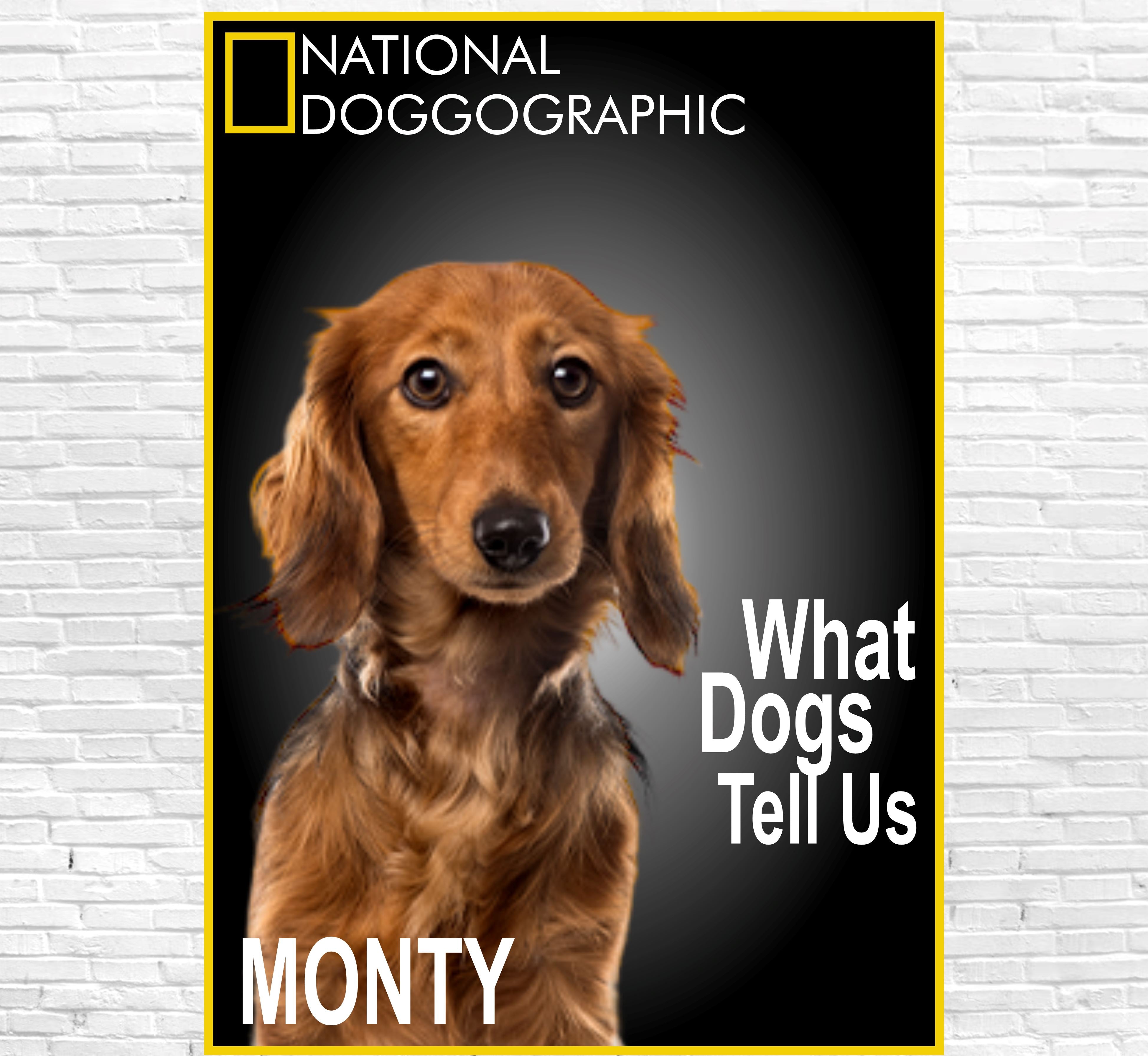 National Doggographic Canvas Classic Canvas NetCanvas