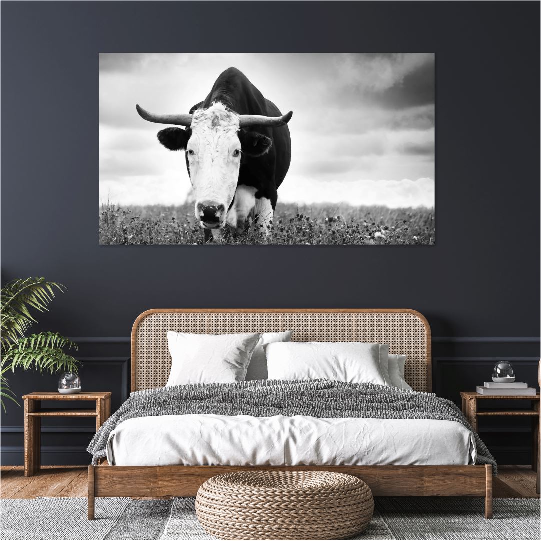 Nguni Cow Lonely Classic Canvas NetCanvas