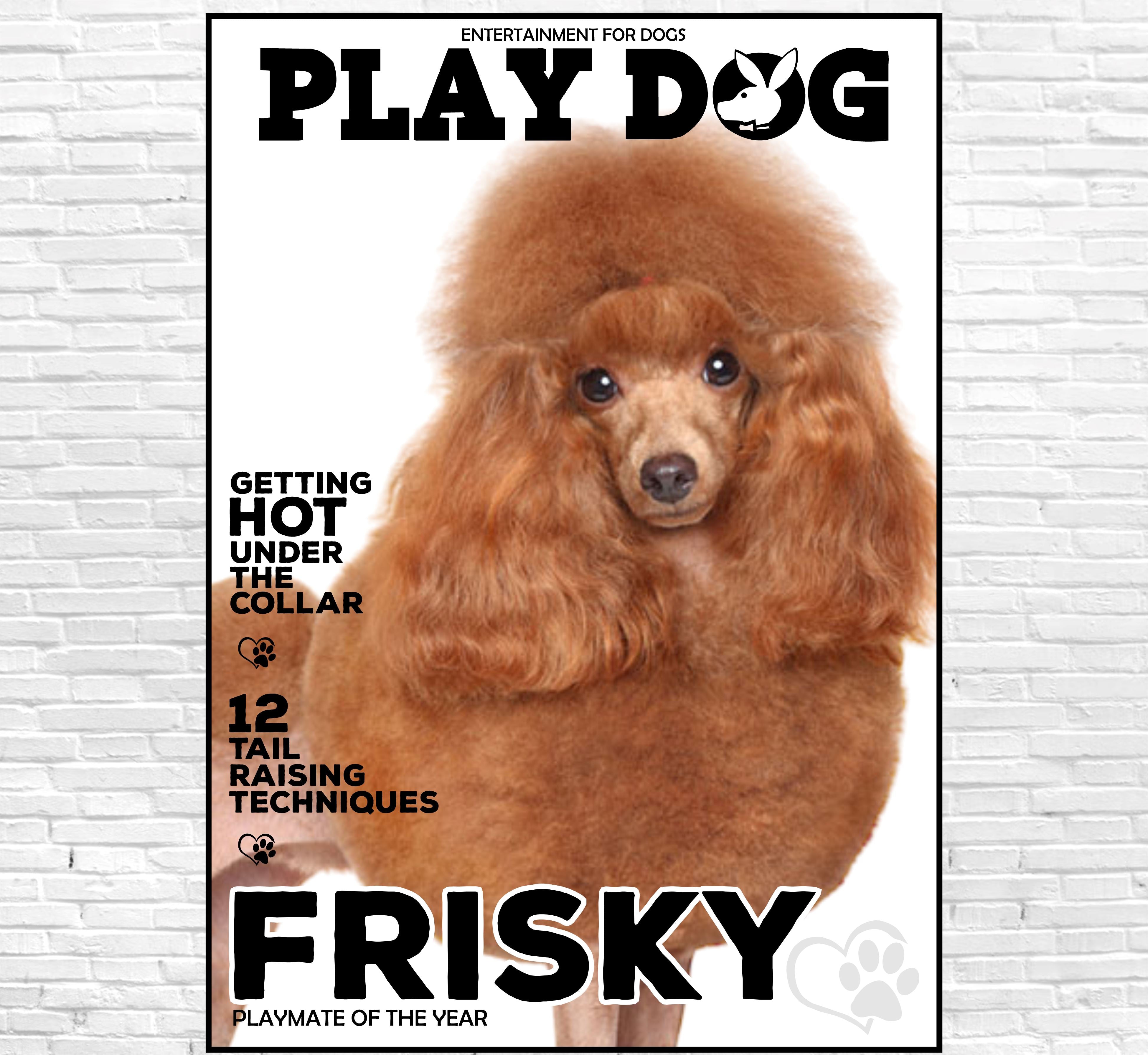 Play Dog Canvas Classic Canvas NetCanvas