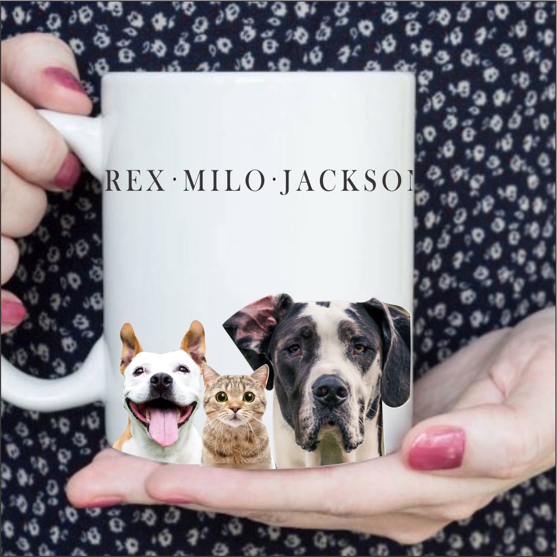 Mug Shot Your Pet (1, 2 or 3 Pets) Classic Canvas NetCanvas 
