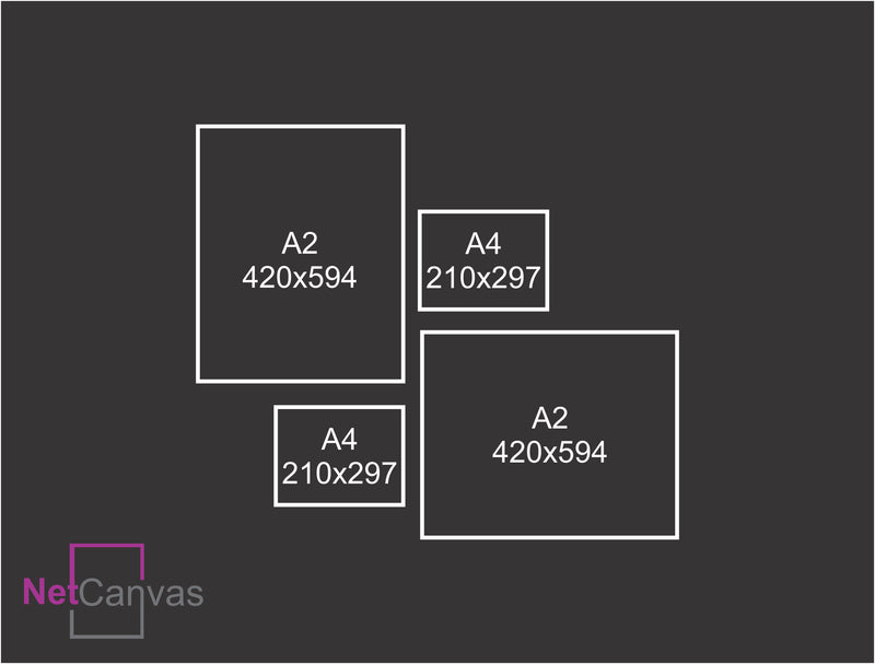 2 A4 + 2 A2 Canvas Combo Classic Canvas NetCanvas 