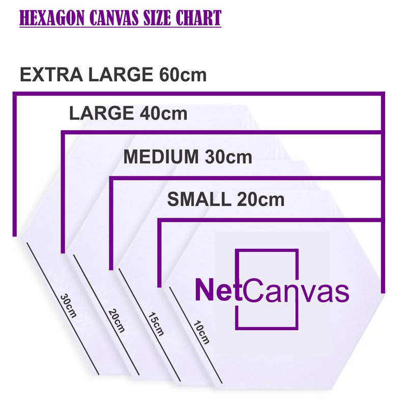 7 x Hexagon Canvas Combo Classic Canvas NetCanvas 