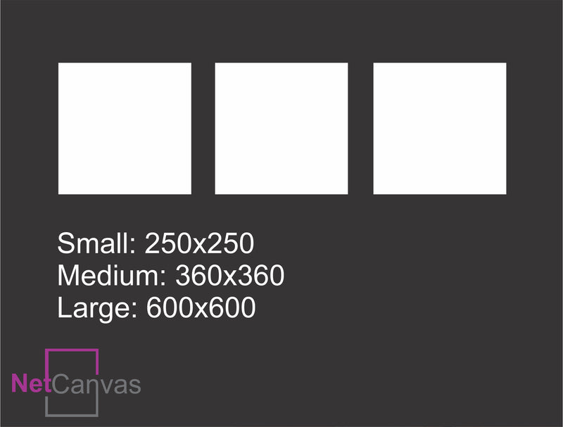 Trio of Squares | 3 piece Small/Medium/Large Classic Canvas NetCanvas 